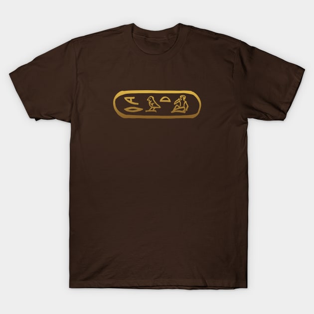 Love in Ancient Egyptian Hieroglyphics T-Shirt by hybridgothica